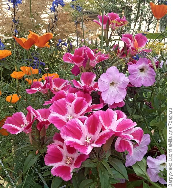 Пусть жизнь переливается всеми цветами радуги