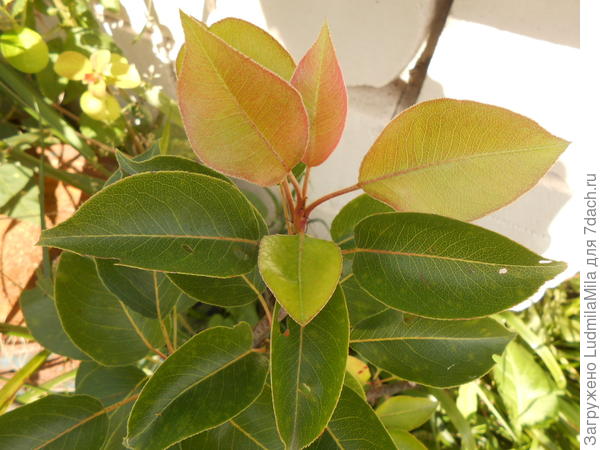 Два года назад.Июль