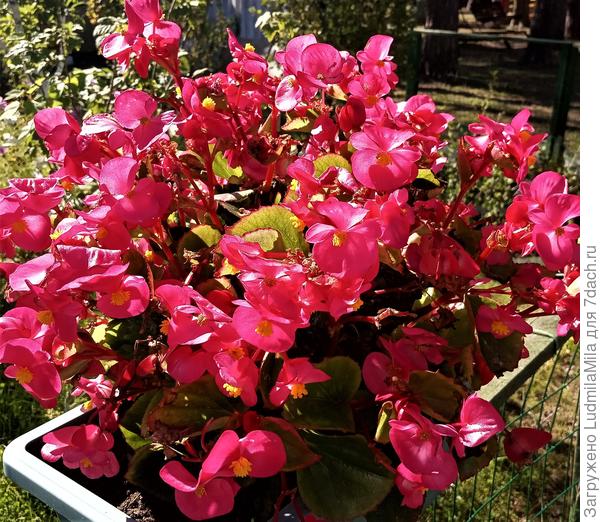 Хорошего настроения!