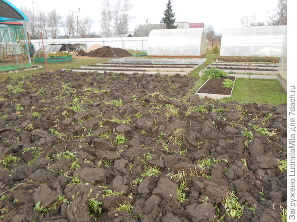 И еще чуть-чуть на длину теплицы