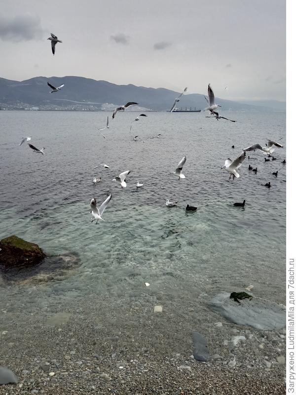 А это Черное море..осень..Похоже?))))