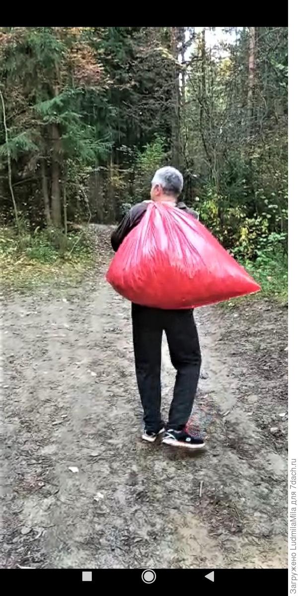 Осенний Дед Мороз)))))