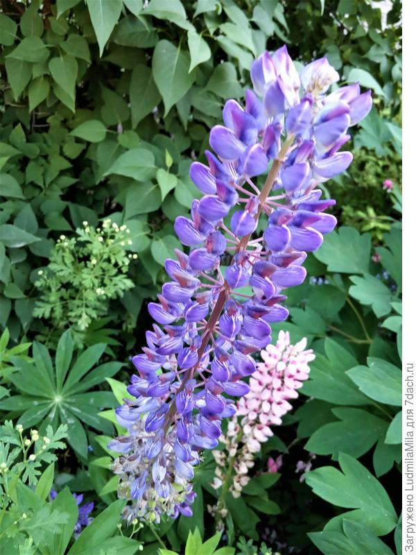 Красота круглый год