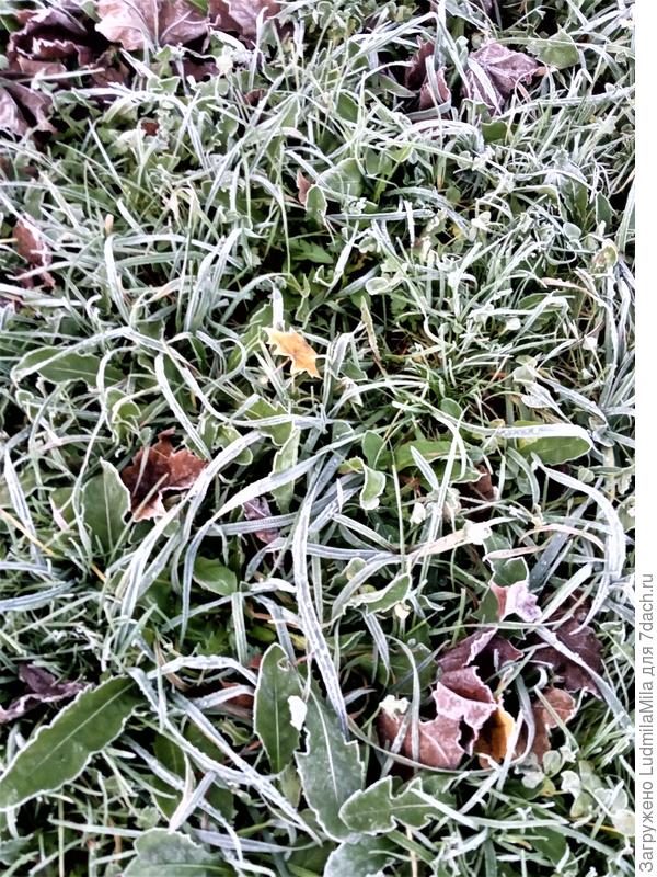 Утро 1 ноября