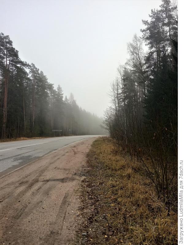 Время час дня,а туман держится...