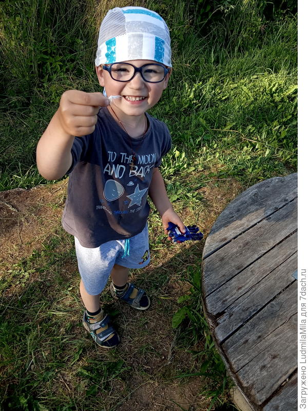 Нашел бабочку