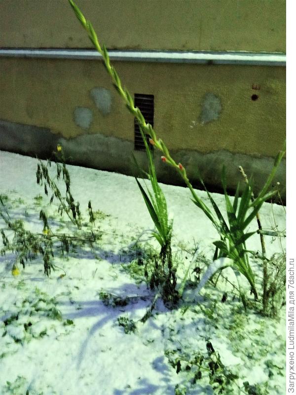 18 ноября.Утро.