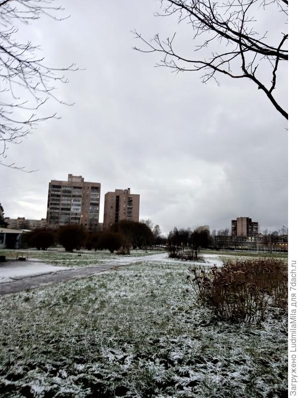 Питерское небо