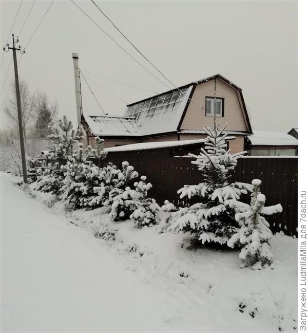 Зимовка на даче - 75 фото
