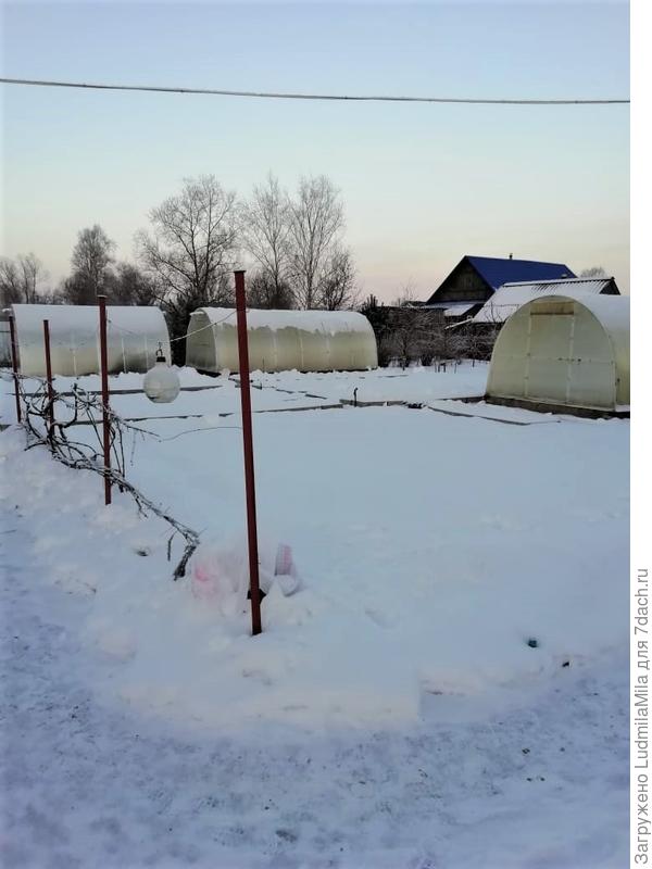 Грядки под снегом
