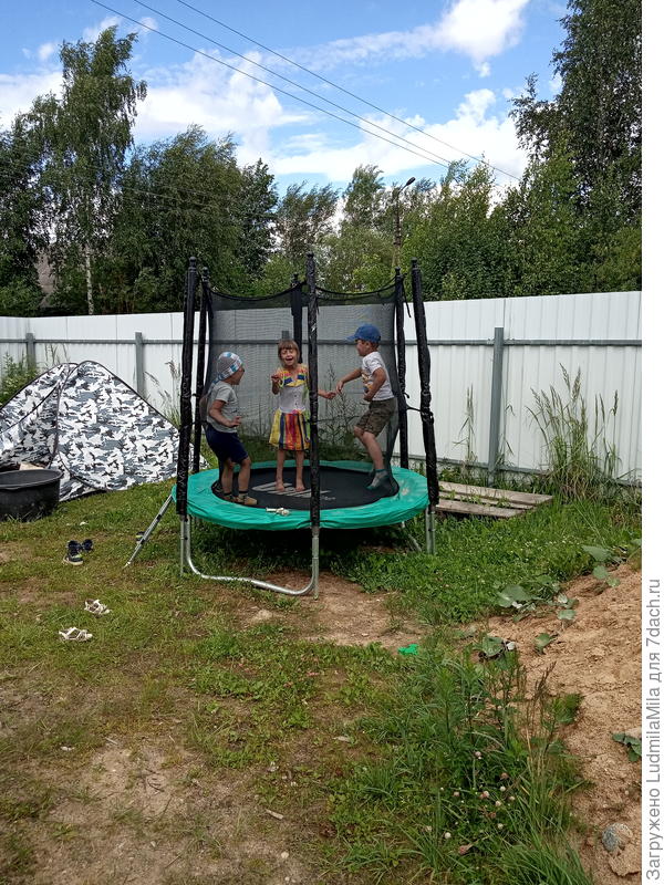 Попрыгунчики....