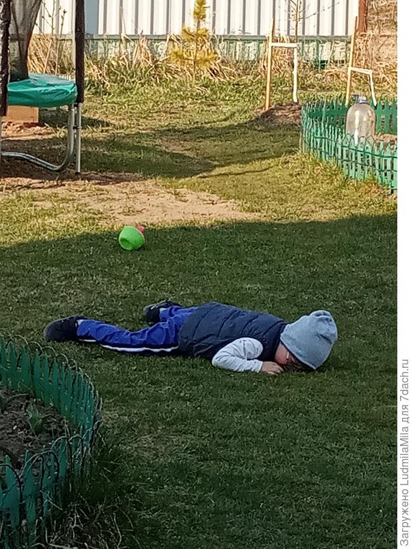 Внуку не дали поливать(Заливать) грядки.Лежит посреди лужайки и рыдает((((