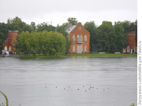 Озеро летом..Уточки где-то там