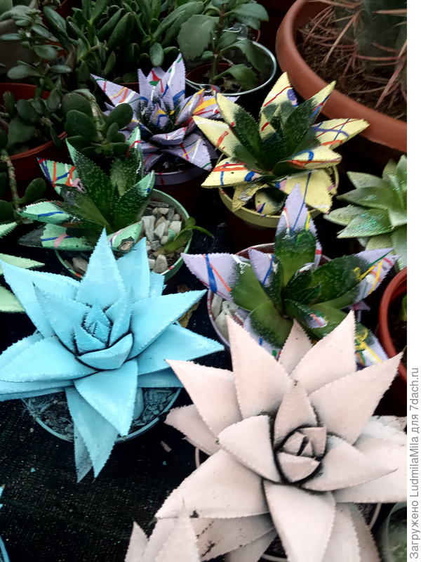 Магазинные предложения