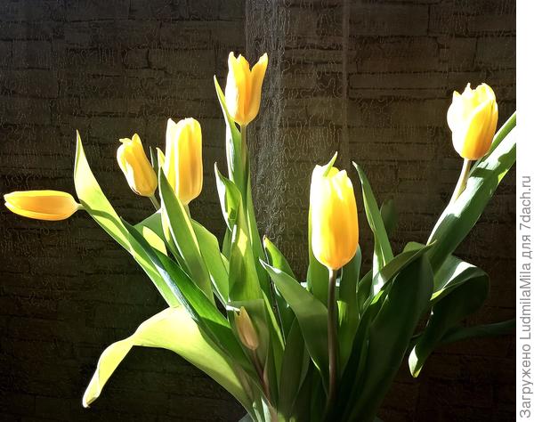 Солнечного настроения!!!!