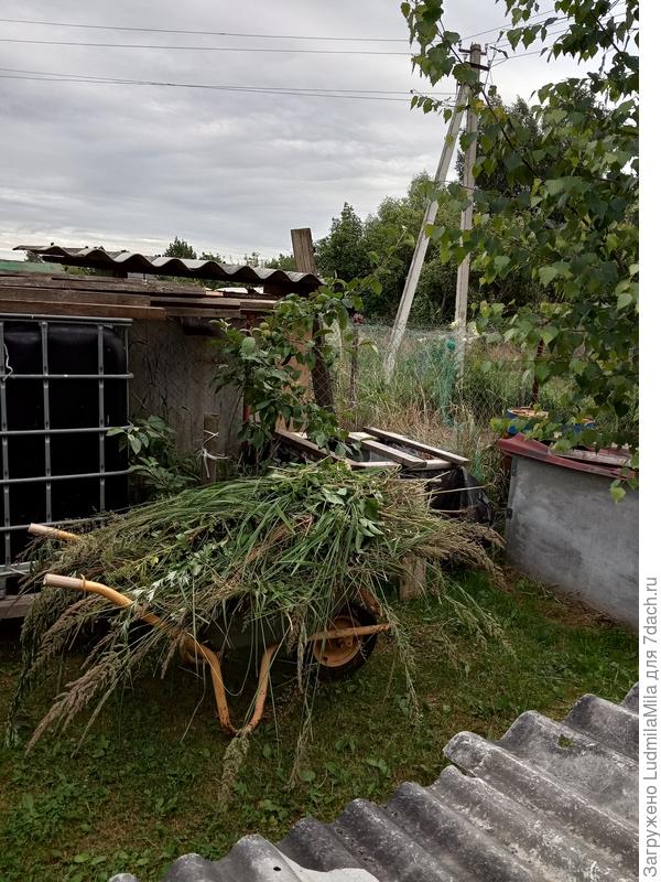 После прополки на компост