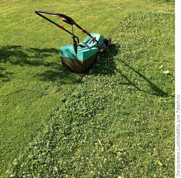 Стрижка лужайки.Травы для мульчирования много!!!