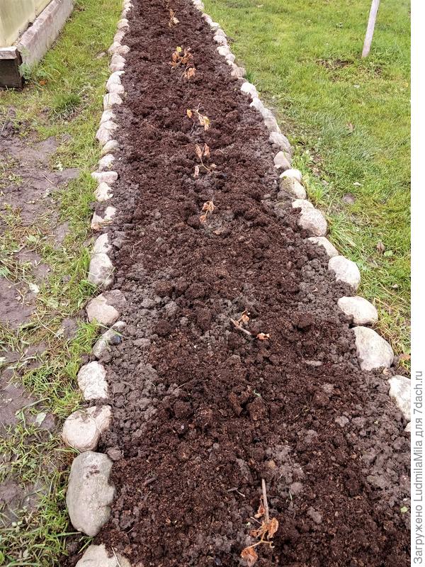 Навоз, опилки