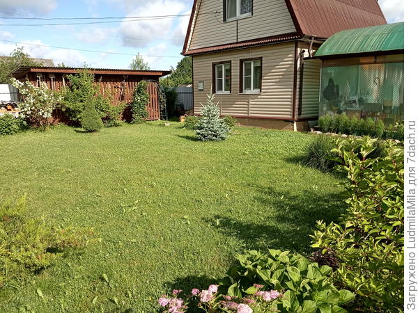 Раз лужайка)))