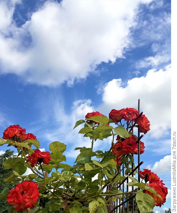 Чистого неба и ярких красок в жизни.