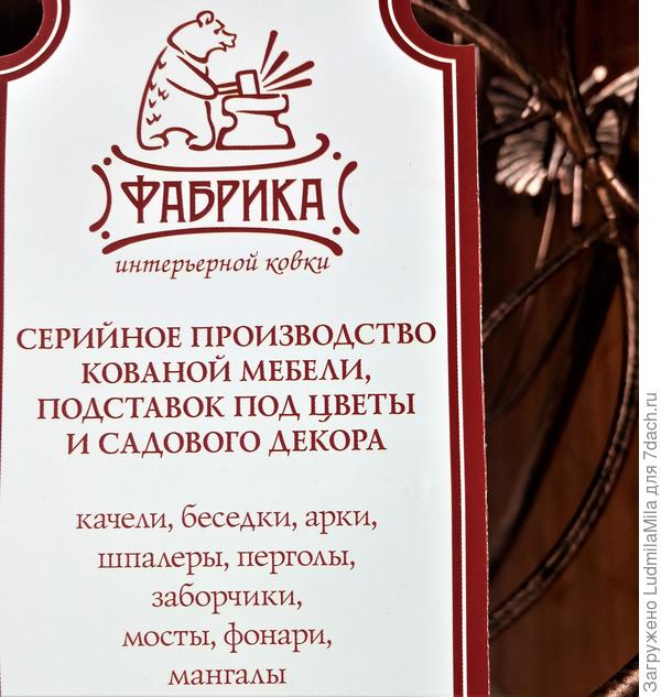 Вот какой выбор