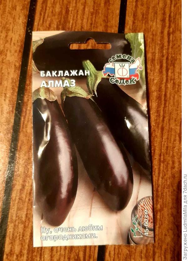 Баклажаны