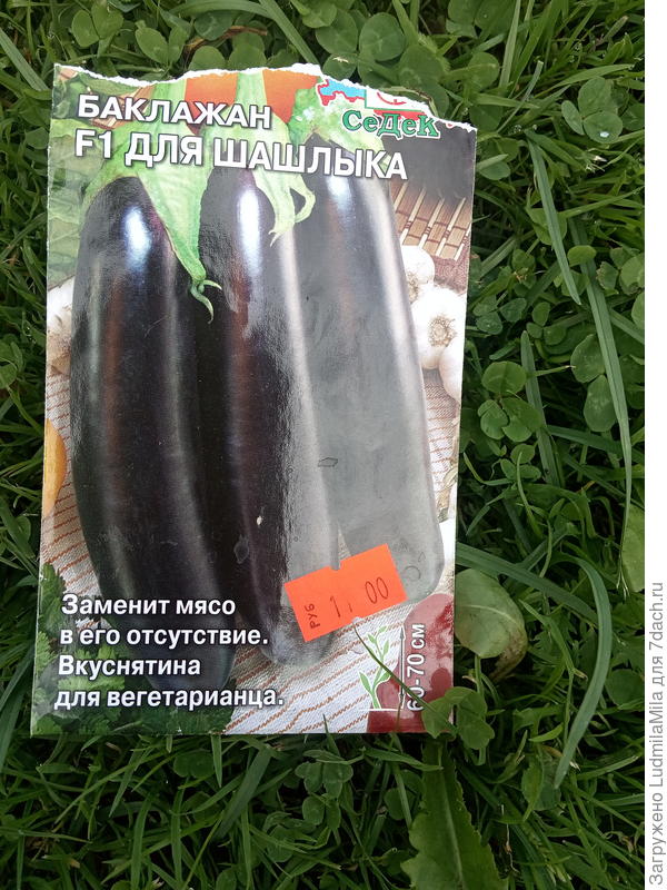 Для шашлыка