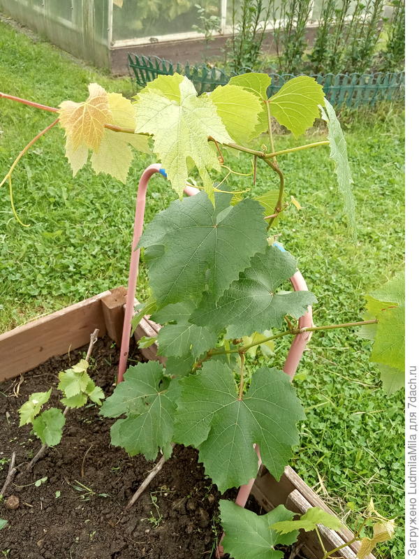 В песочнице