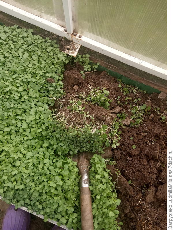 Перекапываем