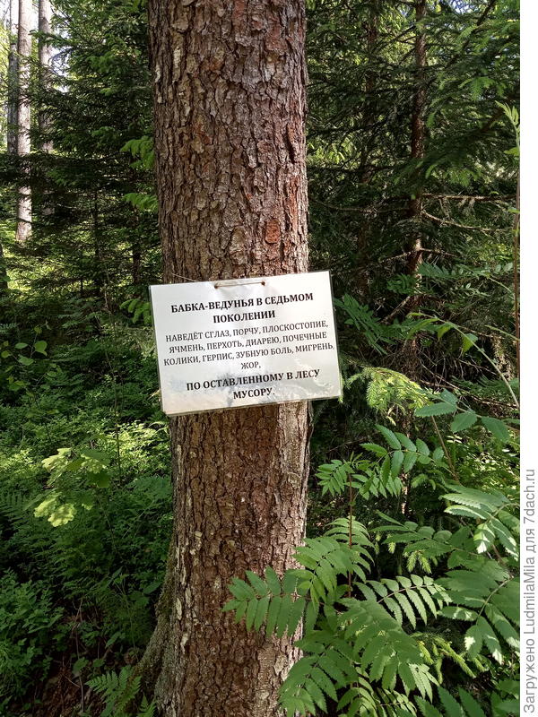 Немного юмора