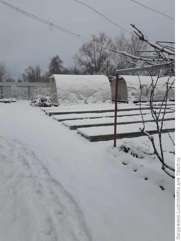 На даче.Теплицы надо постоянно чистить