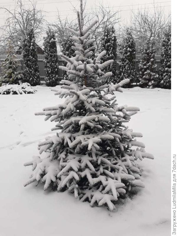 Красота!!!!!!