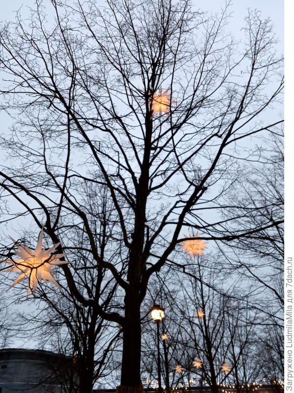 Фонарики на деревьях