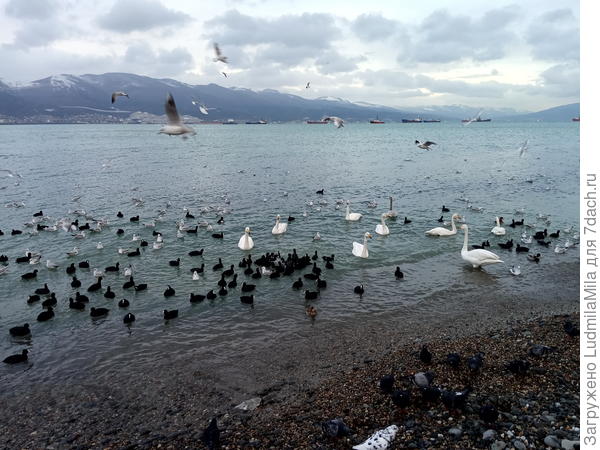 А там где-то Геленджик