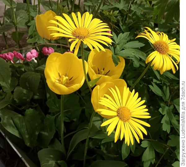 Хорошего настроения!