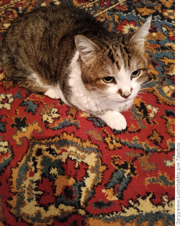 Просто медитирует