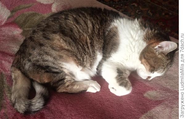 Дедуля отдыхает