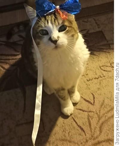 Я еще дам фору молодым))))