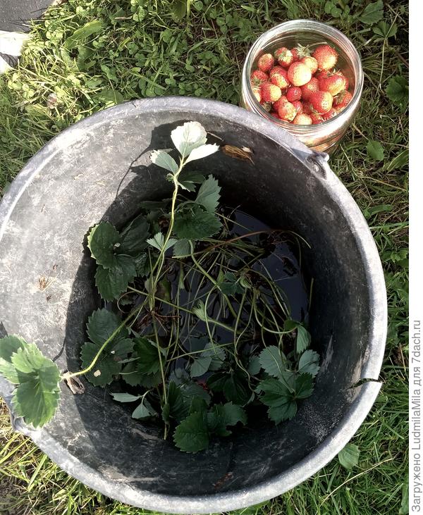 Делимся с соседями