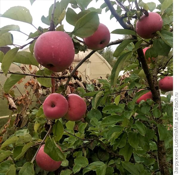 Конец сентября