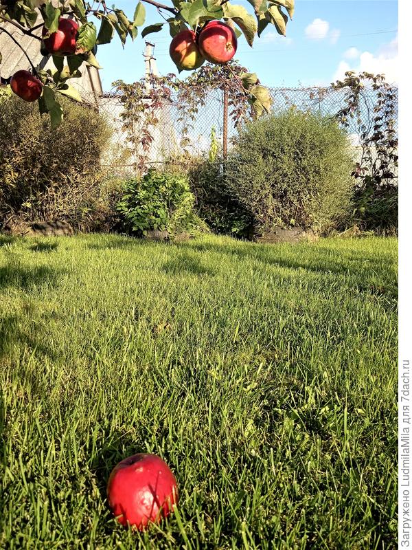 После ветра