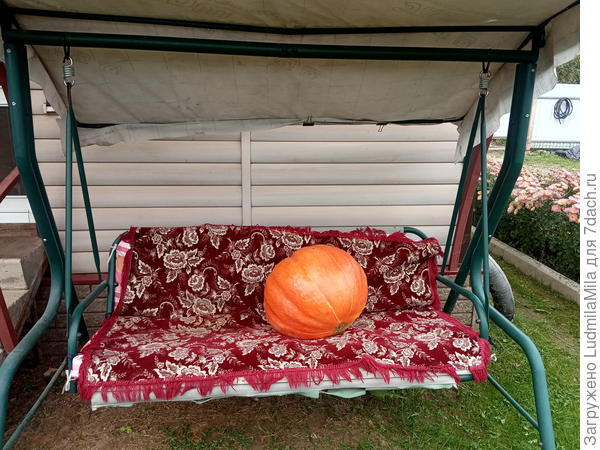 Хороша тыква!!!