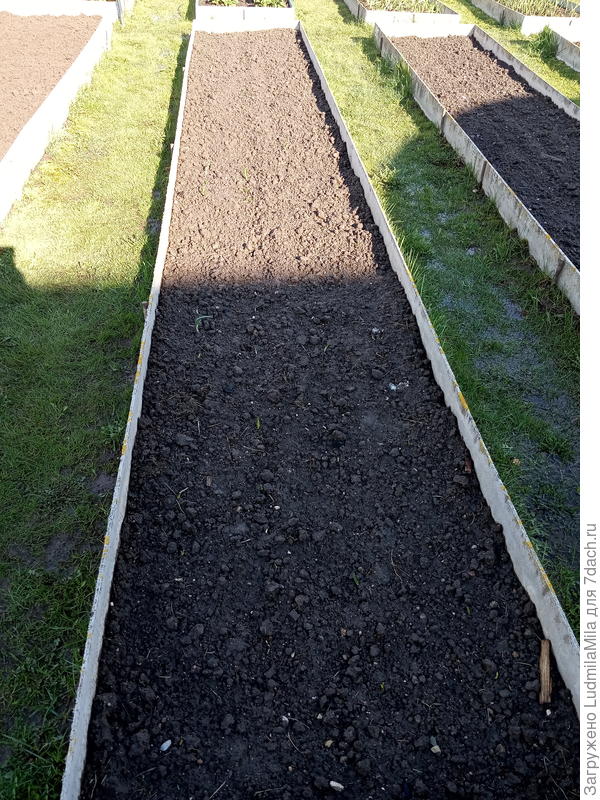 Грядки под лук весной