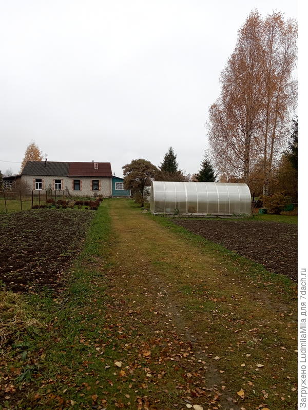 Вот такие &amp;quot;скромные&amp;quot; маштабы