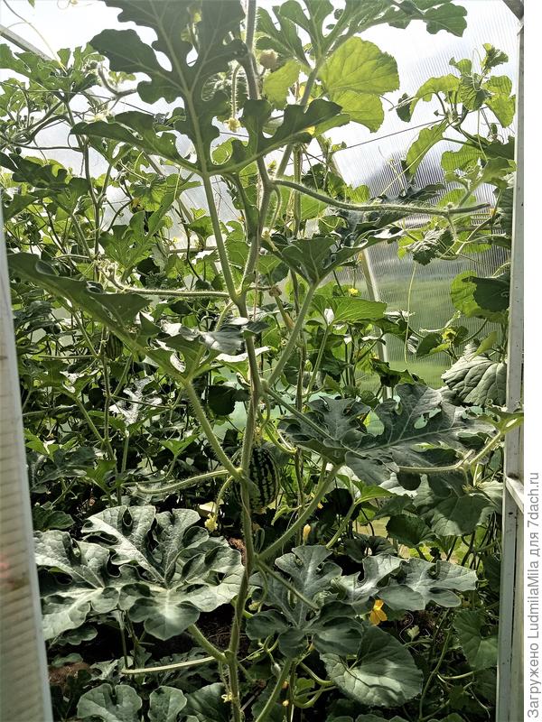 Проветривание