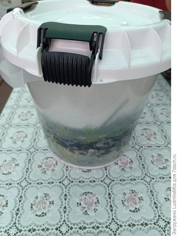 Вот.Первую партию груздей засолили.