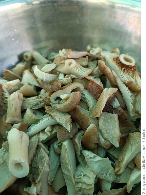 Волнушки,готовые к засаливанию