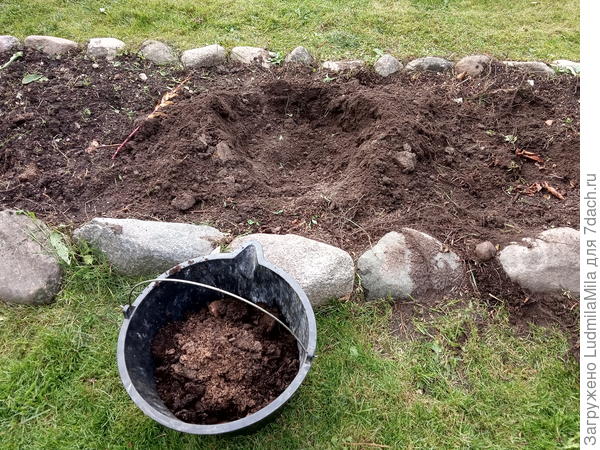 Готовим лунки