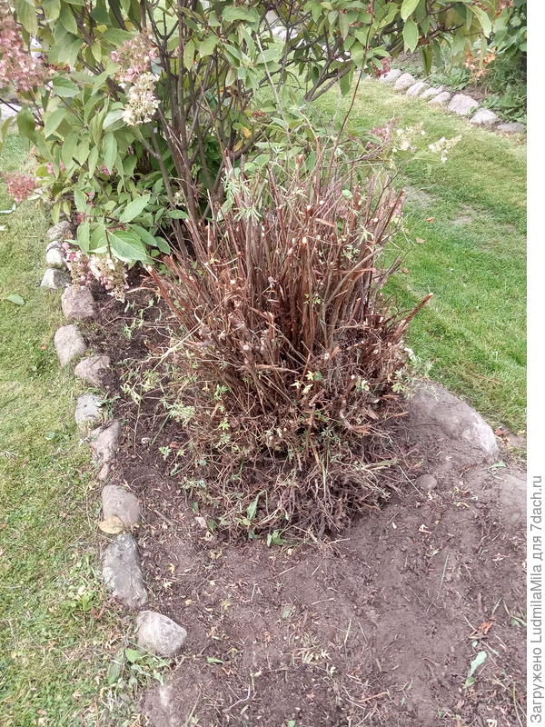 Получаем вот такой корень