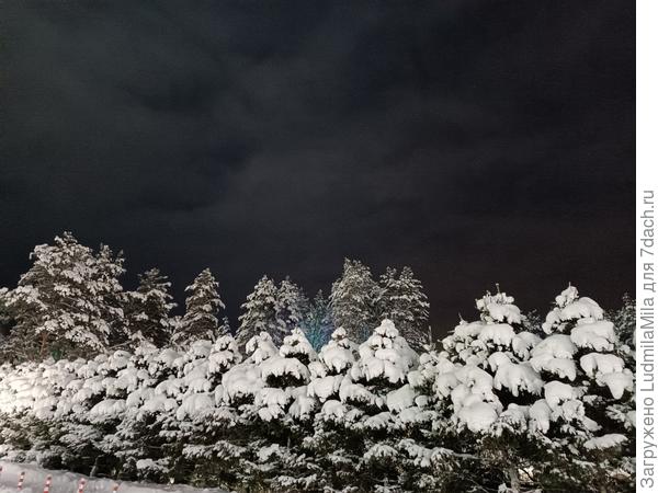 Как в страшной сказке((Окрестности парка